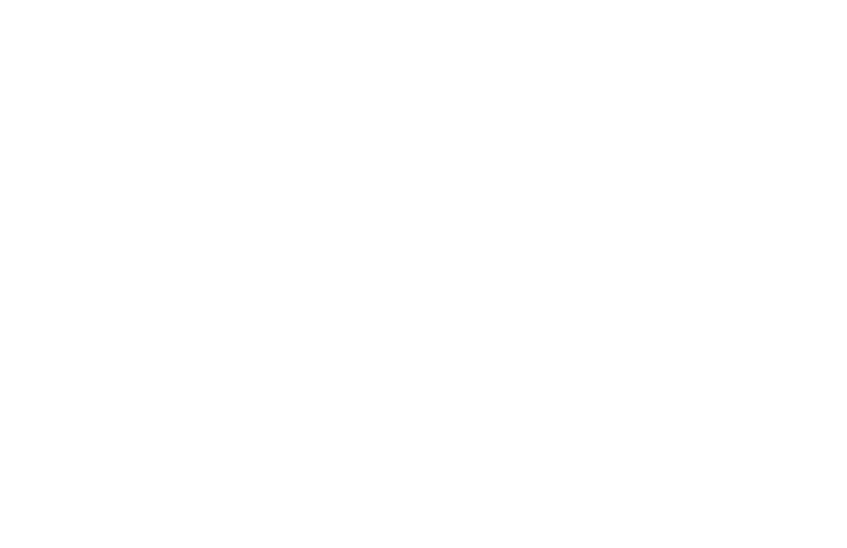 ARCHIVE white