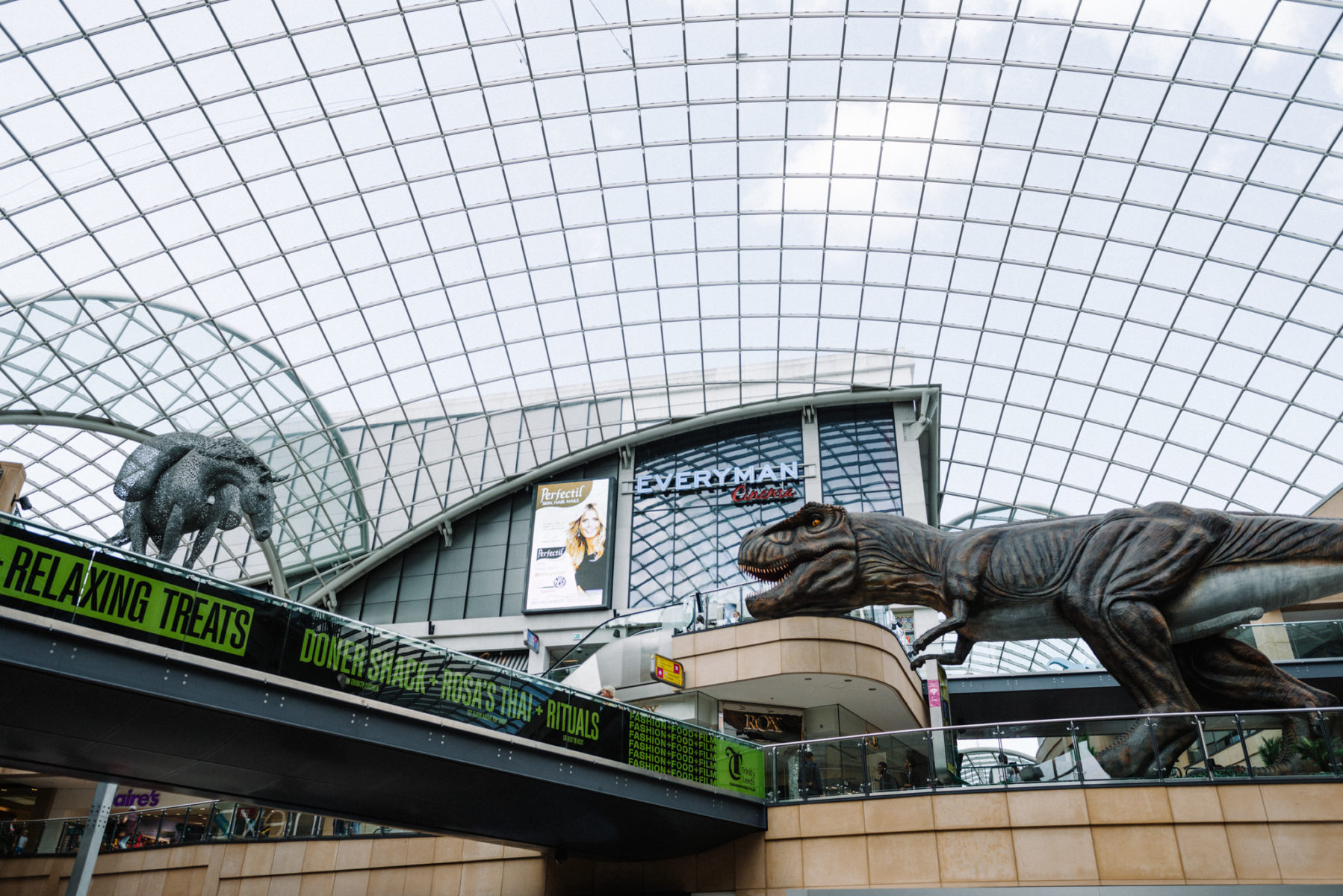 C81-Aug_2019-Ben_Bentley-Web_Res-5745