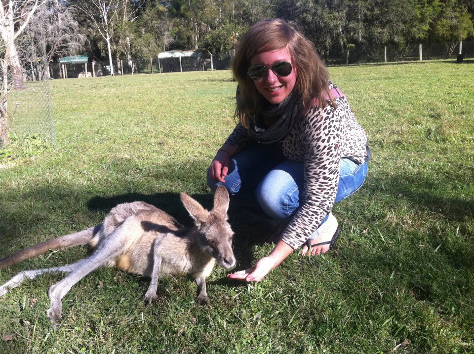 Beverley kangaroo