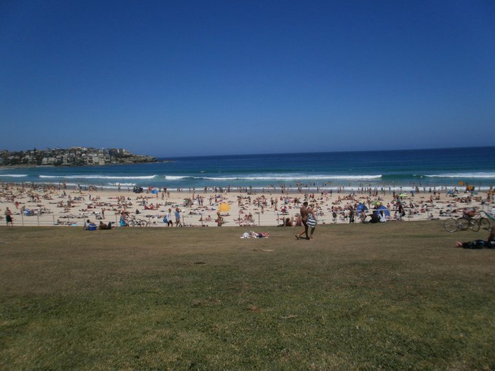 Bondi Christmas