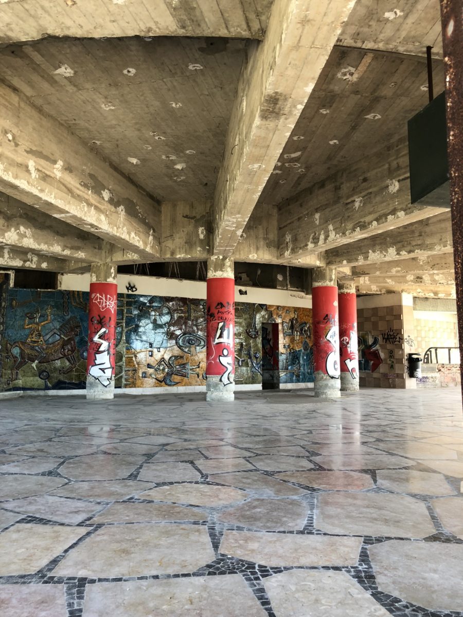 IMG_2351