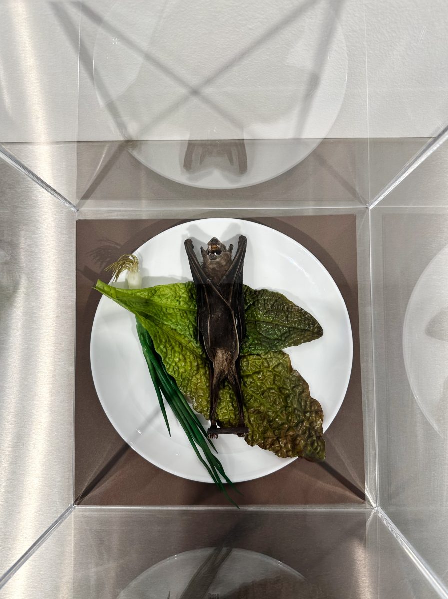 0BE99660-CA9F-4C9A-A4A3-DD9E452E5278