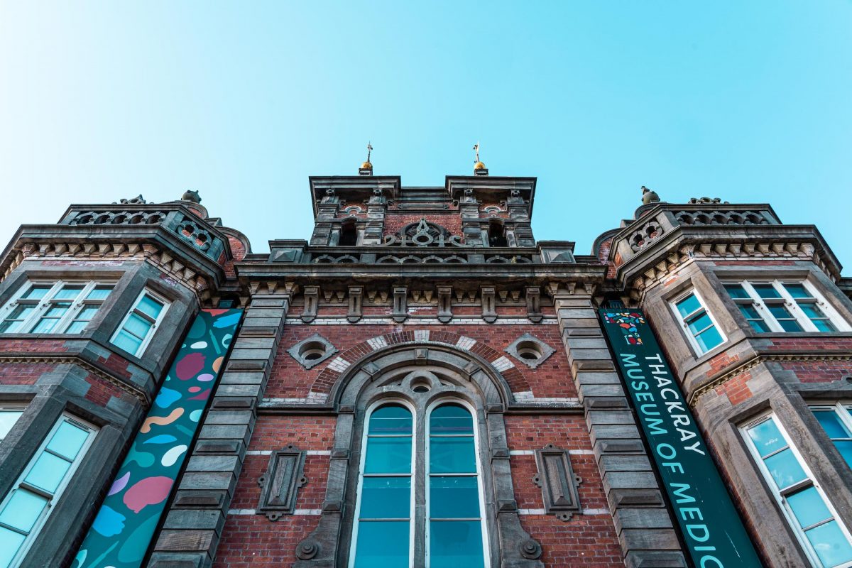 Thackray with a new grant award for strategic investment