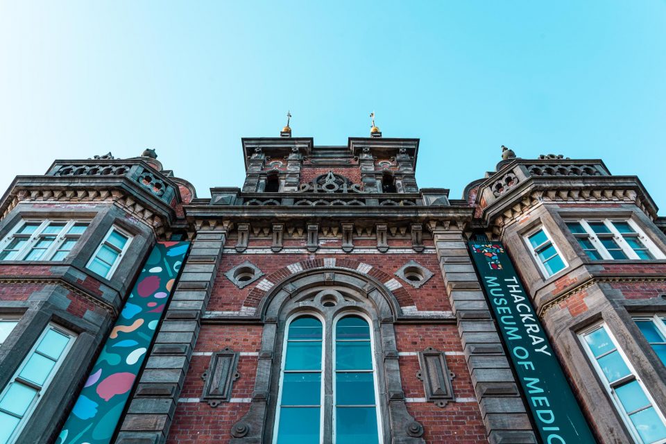 Thackray with a new grant award for strategic investment