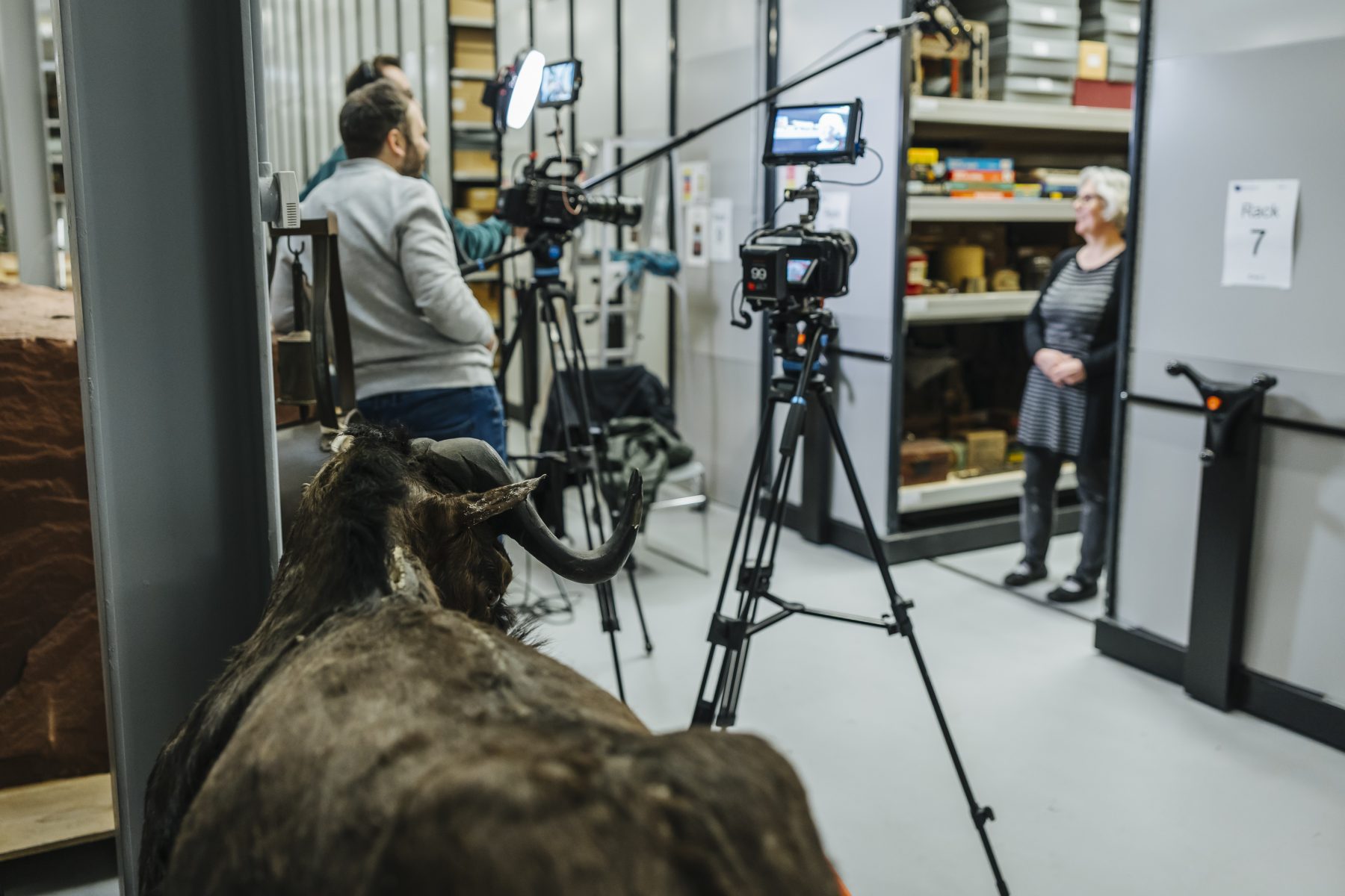 Discovery_Waddingtons_BID_TM-10