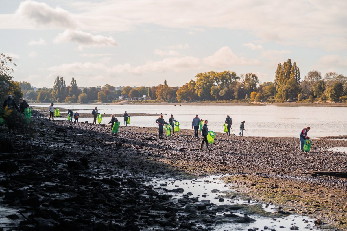 NoNo Wine Bar Partners with EARNT